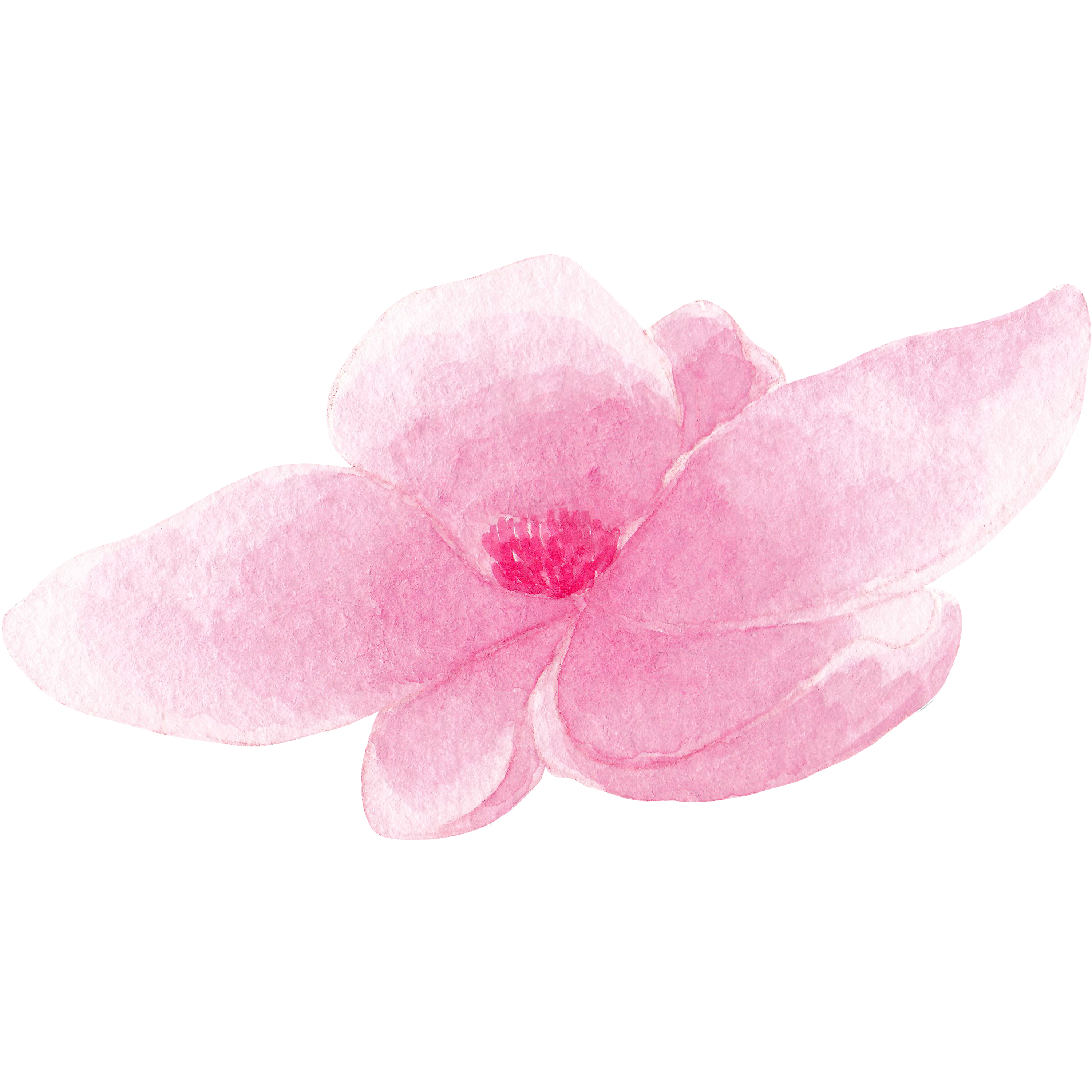 flower decoration